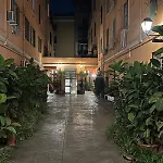 Daisy House