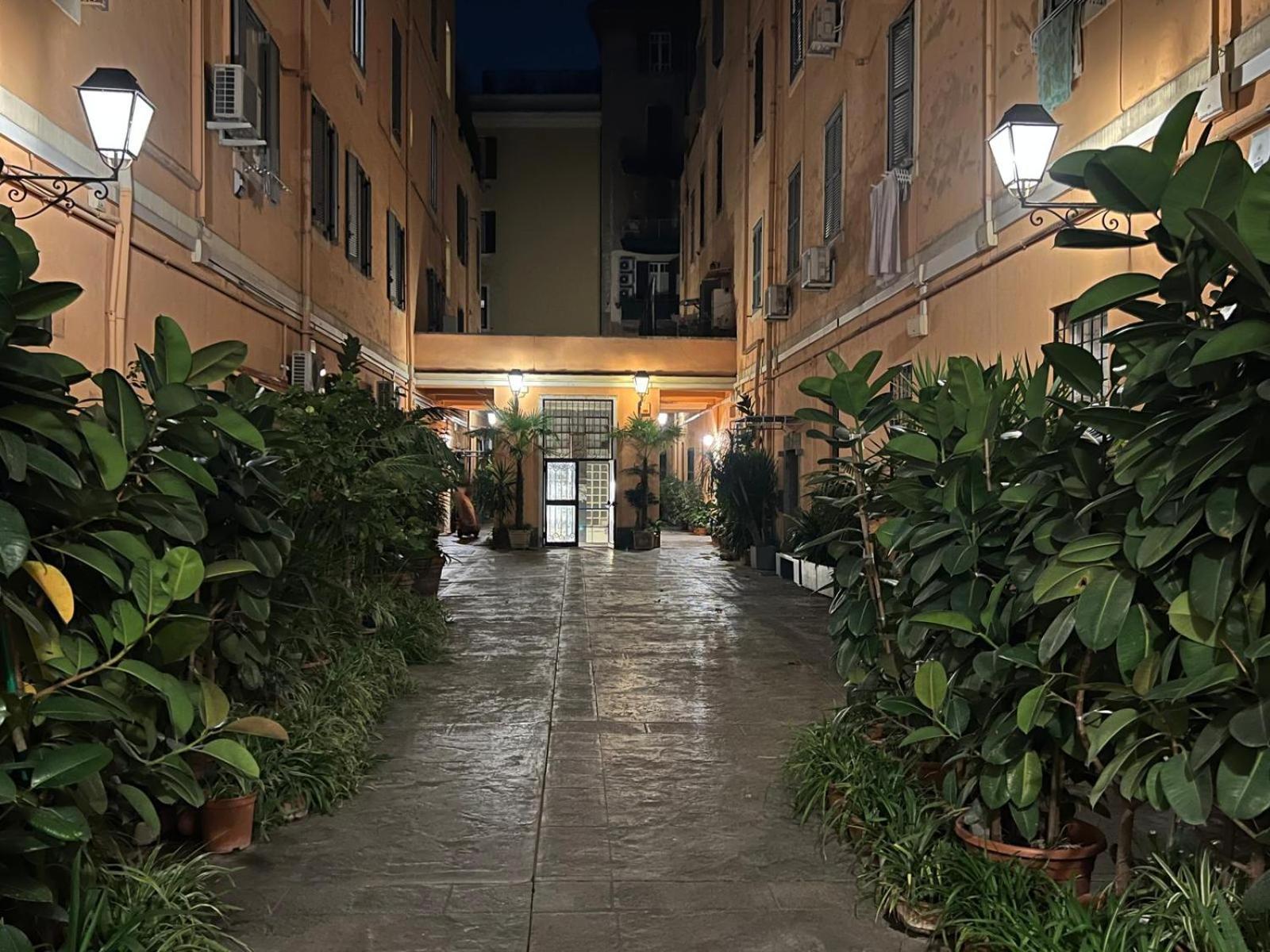 Daisy House Apartment Rom