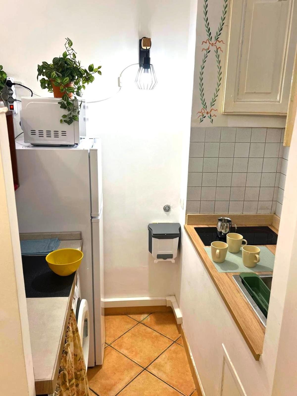 Apartment Daisy House *